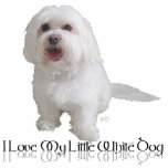 I Liebe mein kleiner weißer Hund - Havanese Freistehende Fotoskulptur<br><div class="desc">Kleine weiße Hunderettung rettete dieses Havanese im Jahre 2010. Jetzt glücklich in einem Forever-Zuhause, ist der Hund Schauspiel als Botschafter zur Welt für gerettete Hunde überall. Jeder Kauf von unserem Geschäft hilft, Hunde mangels unserer Rettungsdienstleistungen zu retten. Finden Sie die perfekten Grußkarten, -Mitteilungskarten und -kleidung hier, für selbst oder diesen...</div>