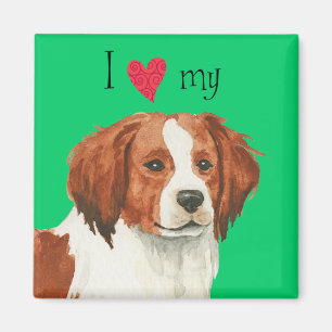 I Liebe mein Kooikerhondje Magnet