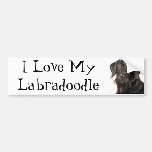 I Liebe mein Labradoodle Autoaufkleber (Vorne)