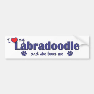 I Liebe mein Labradoodle (weiblicher Hund) Autoaufkleber