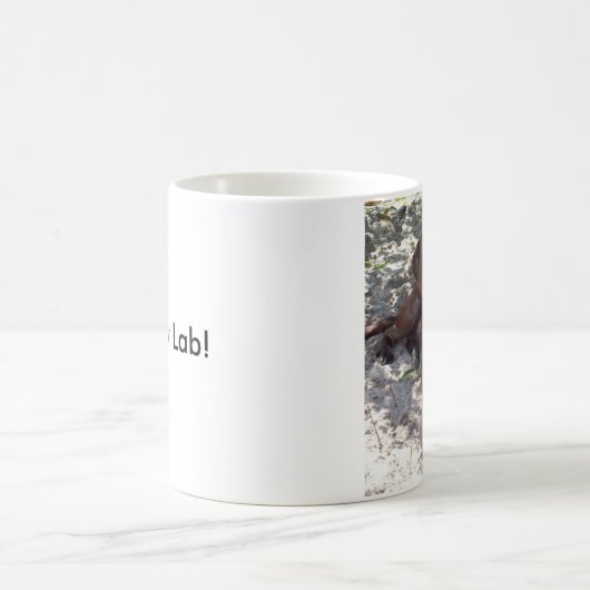 I Liebe mein Labrador! Kaffeetasse (Mittel)