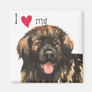 I Liebe mein Leonberger Magnet