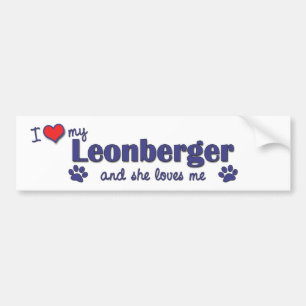 I Liebe mein Leonberger (weiblicher Hund) Autoaufkleber