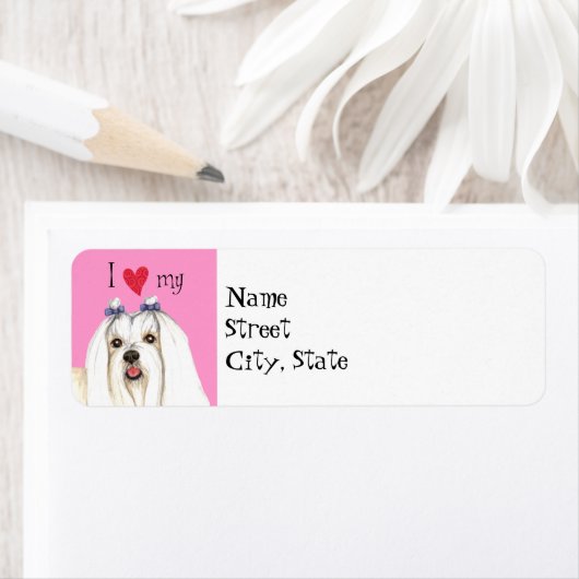 I Liebe mein Maltesisch (Insitu)