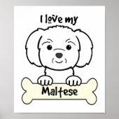 I Liebe Mein Maltesisch Poster (Vorne)
