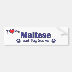 I Liebe mein maltesisches (mehrfache Hunde) Autoaufkleber