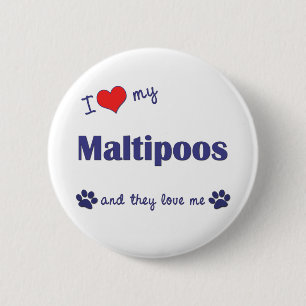 I Liebe mein Maltipoos (mehrfache Hunde) Button