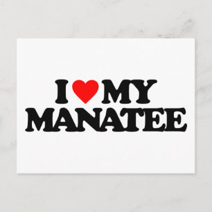 I LIEBE MEIN MANATEE POSTKARTE