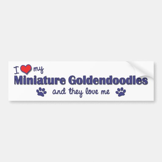 I Liebe mein MiniaturGoldendoodles (mehrfache Autoaufkleber (Vorne)