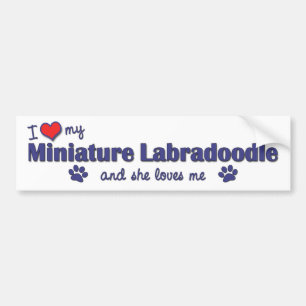 I Liebe mein MiniaturLabradoodle (weiblicher Hund) Autoaufkleber