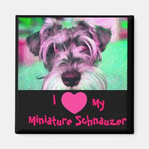 I Liebe mein Miniaturschnauzer-Magnet Magnet