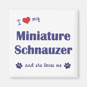 I Liebe mein MiniaturSchnauzer (weiblicher Hund) Magnet