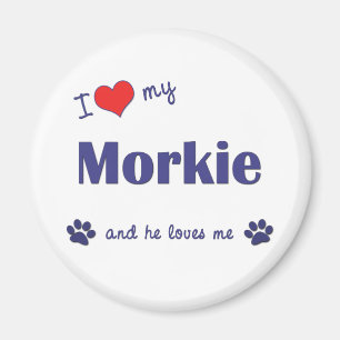 I Liebe mein Morkie (männlicher Hund) Magnet