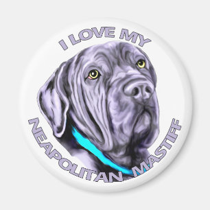 I Liebe mein neapolitanischer Mastiff Magnet