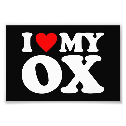 I LIEBE MEIN OX FOTODRUCK (Vorne)