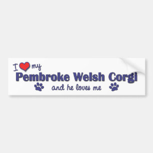 I Liebe mein Pembroke-WaliserCorgi (männlicher Autoaufkleber