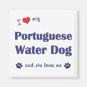 I Liebe mein portugiesischer Wasser-Hund Magnet