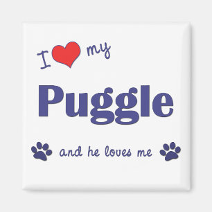 I Liebe mein Puggle (männlicher Hund) Magnet