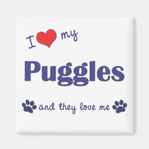 I Liebe mein Puggles (mehrfache Hunde) Magnet