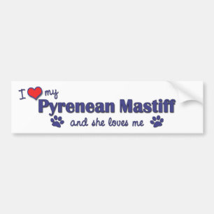 I Liebe mein Pyrenean Mastiff (weiblicher Hund) Autoaufkleber