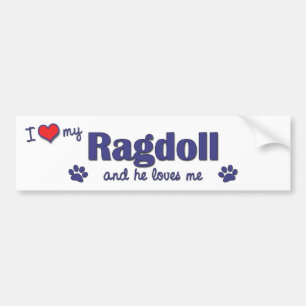 I Liebe mein Ragdoll (männliche Katze) Autoaufkleber