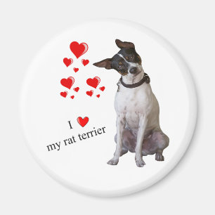 I Liebe mein Ratten-Terrier-Magnet Magnet