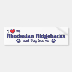 I Liebe mein Rhodesian Ridgebacks (mehrfache Autoaufkleber