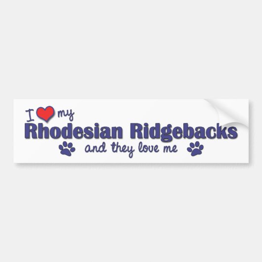 I Liebe mein Rhodesian Ridgebacks (mehrfache Autoaufkleber (Vorne)