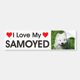 I Liebe mein Samoyed-Autoaufkleber Autoaufkleber