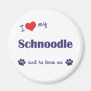 I Liebe mein Schnoodle (männlicher Hund) Magnet