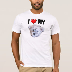 I Liebe mein Schnoodle T-Shirt