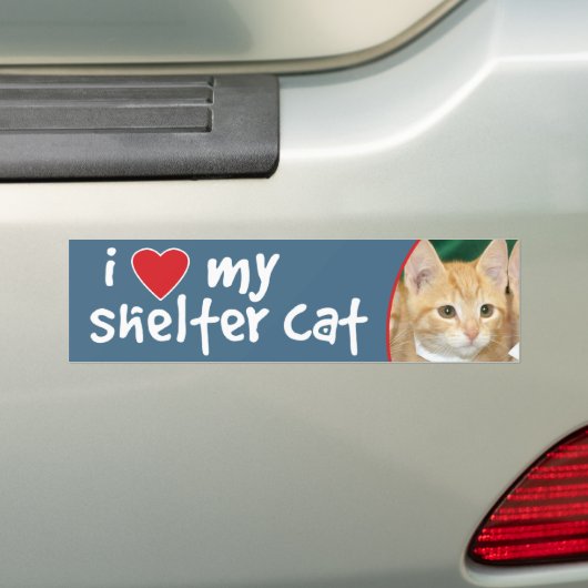 I Liebe mein Schutz-Katzen-Orangen-Kätzchen Autoaufkleber (Auf Auto)