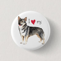 I Liebe mein schwedisches Vallhund