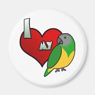 I Liebe mein Senegal-Papageien-Magnet Magnet