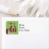 I Liebe mein Spinone Italiano (Insitu)