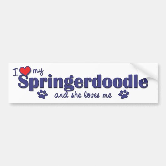 I Liebe mein Springerdoodle (weiblicher Hund) Autoaufkleber (Vorne)