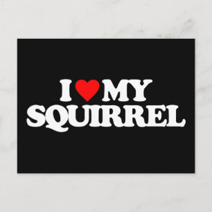 I LIEBE MEIN SQUIRREL POSTKARTE