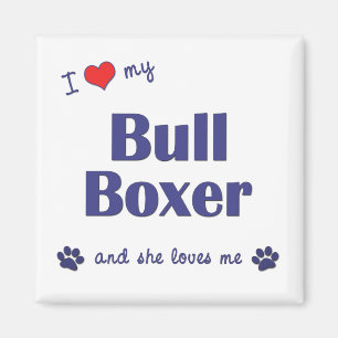 I Liebe mein Stier-Boxer (weiblicher Hund) Magnet