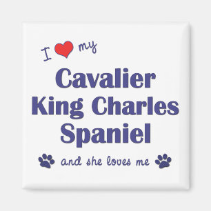 I Liebe mein unbekümmerter König Charles Magnet