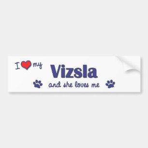 I Liebe mein Vizsla (weiblicher Hund) Autoaufkleber