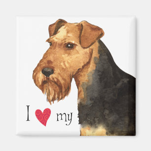 I Liebe mein Waliser-Terrier Magnet