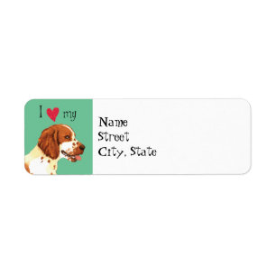 I Liebe mein WaliserSpringerSpaniel