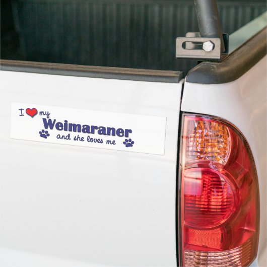 I Liebe mein Weimaraner (weiblicher Hund) Autoaufkleber (Auf Lkw)