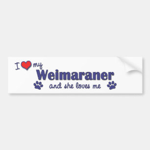 I Liebe mein Weimaraner (weiblicher Hund) Autoaufkleber