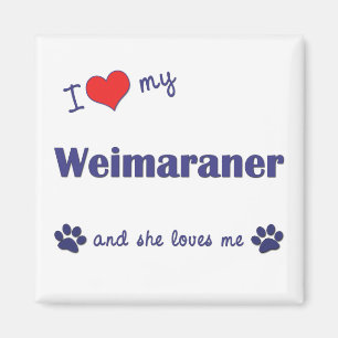 I Liebe mein Weimaraner (weiblicher Hund) Magnet