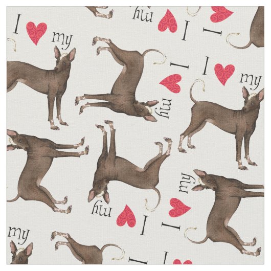 I Liebe mein Xolo Stoff (Nahaufnahme)