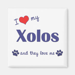I Liebe mein Xolos (mehrfache Hunde) Magnet