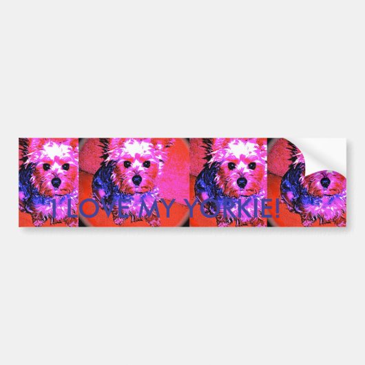 I LIEBE MEIN YORKIE! Autoaufkleber (Vorne)