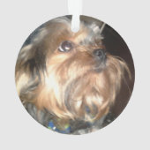 I LIEBE MEIN YORKIE-Ornament Ornament (Rückseite)