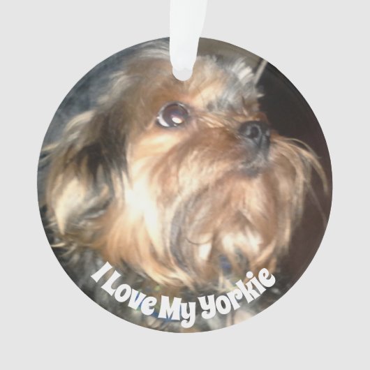 I LIEBE MEIN YORKIE-Ornament Ornament (Vorderseite)